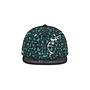 LIMITED EDITION - Snapback GRASSROOTS - Green leaves